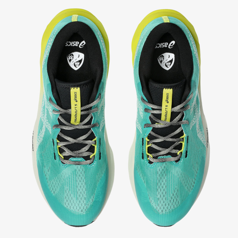 ASICS Pantofi Sport Novablast 5 TR 