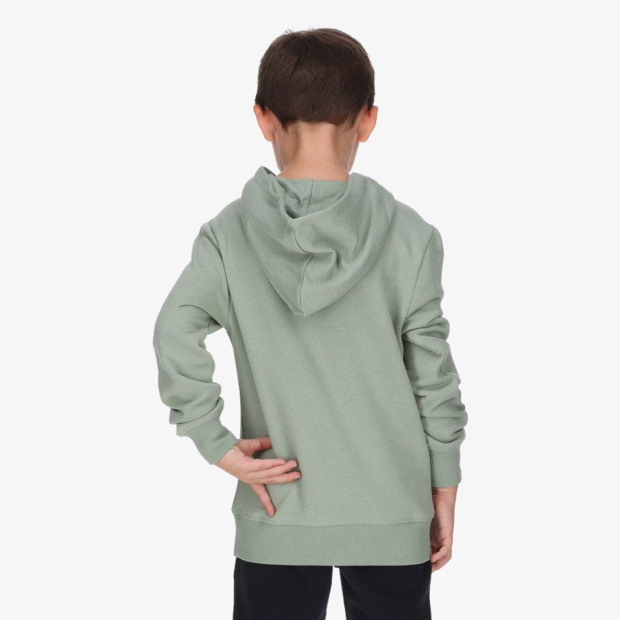 CHAMPION Hanorace Hooded Sweatshirt 