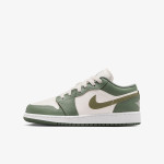 NIKE Pantofi Sport AIR JORDAN 1 LOW BG 
