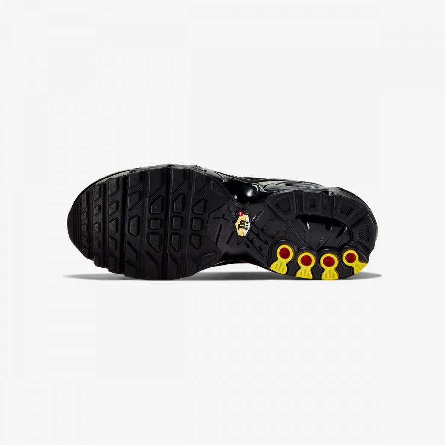 NIKE Pantofi Sport NIKE AIR MAX PLUS (GS) 