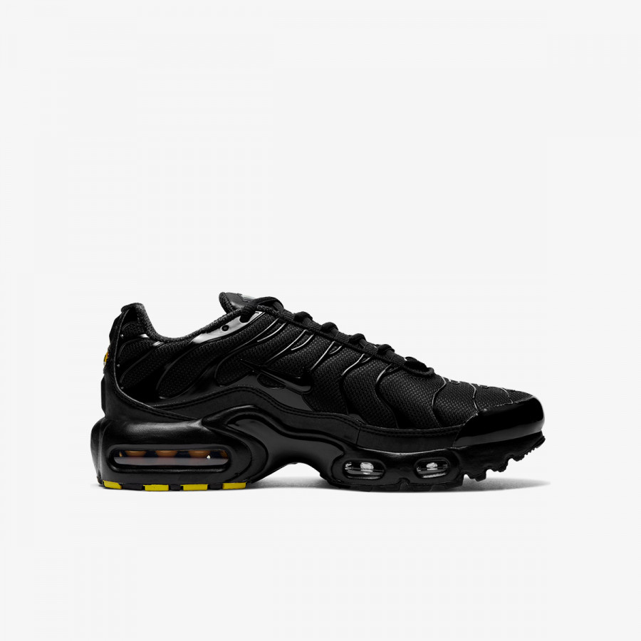 NIKE Pantofi Sport NIKE AIR MAX PLUS (GS) 