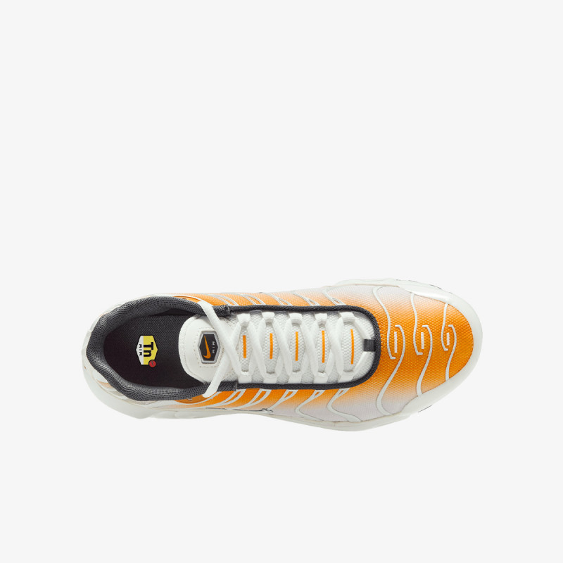 NIKE Pantofi Sport Air Max Plus 
