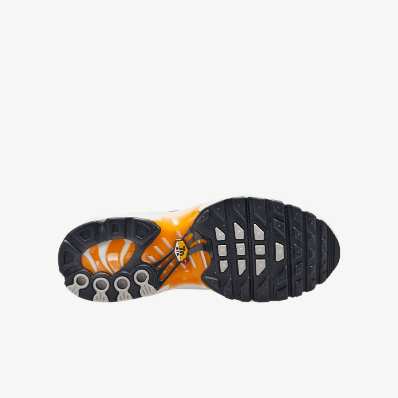NIKE Pantofi Sport Air Max Plus 