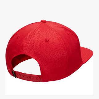 NIKE Sapca Jordan Pro Ingot 