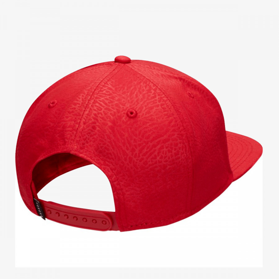 NIKE Sapca Jordan Pro Ingot 