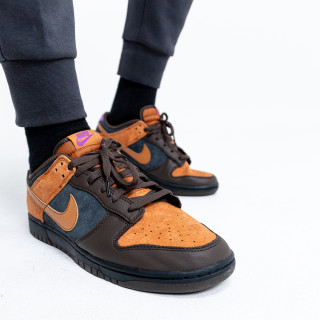 NIKE Pantofi Sport Dunk Low Retro PRM 
