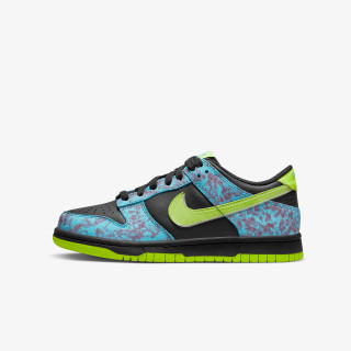 NIKE Pantofi Sport Dunk Low SE 