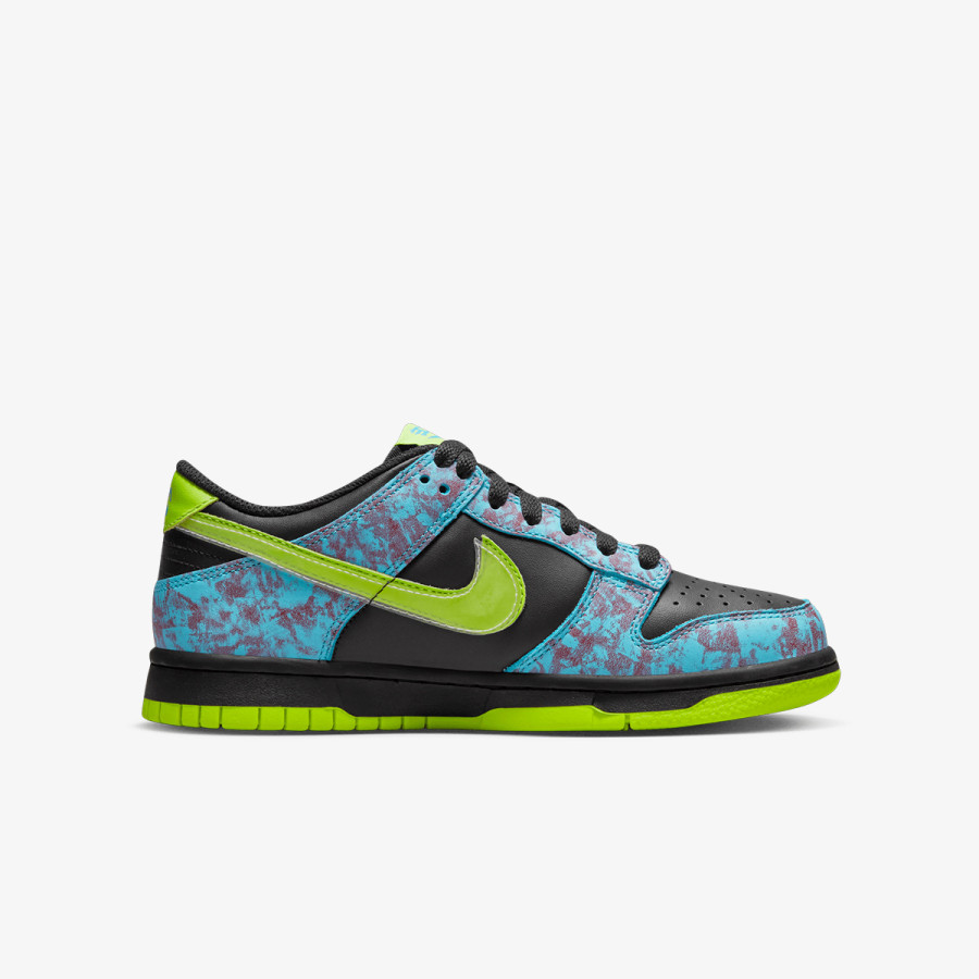 NIKE Pantofi Sport Dunk Low SE 