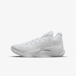 NIKE Pantofi Sport JORDAN ZION 3 BG 