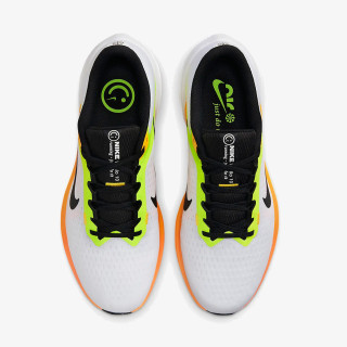 NIKE Pantofi Sport Winflo 10 