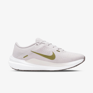 NIKE Pantofi Sport Nike Winflo 10 