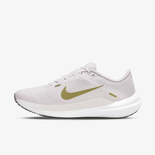 NIKE Pantofi Sport Nike Winflo 10 