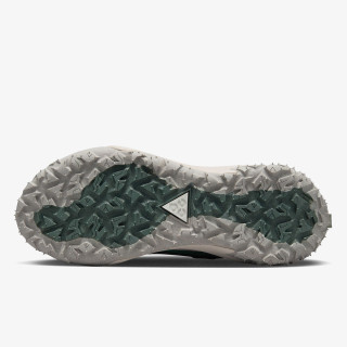 NIKE Pantofi Sport ACG MOUNTAIN FLY 2 LOW 