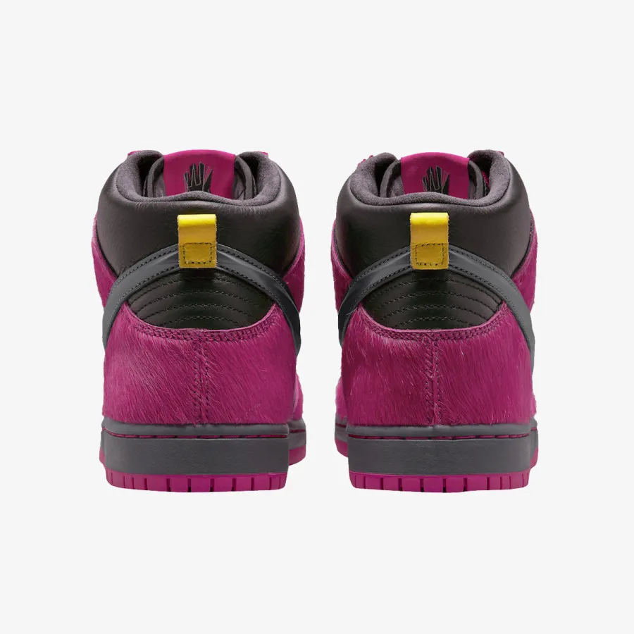 NIKE Pantofi Sport NIKE SB DUNK HIGH QS RTJ 