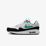 NIKE Pantofi Sport Air Max 1 