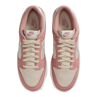 NIKE Pantofi Sport NIKE DUNK LOW RETRO PRM NBHD 