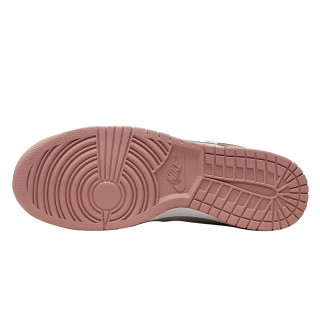 NIKE Pantofi Sport NIKE DUNK LOW RETRO PRM NBHD 