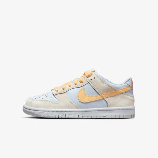 NIKE Pantofi Sport Dunk Low GS 