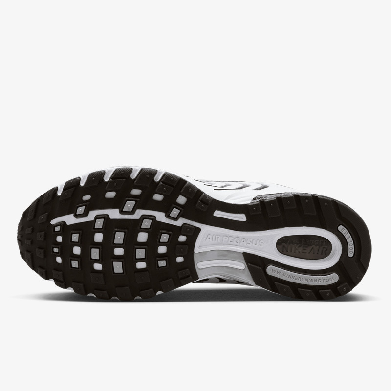 NIKE Pantofi Sport Air Pegasus 2005 