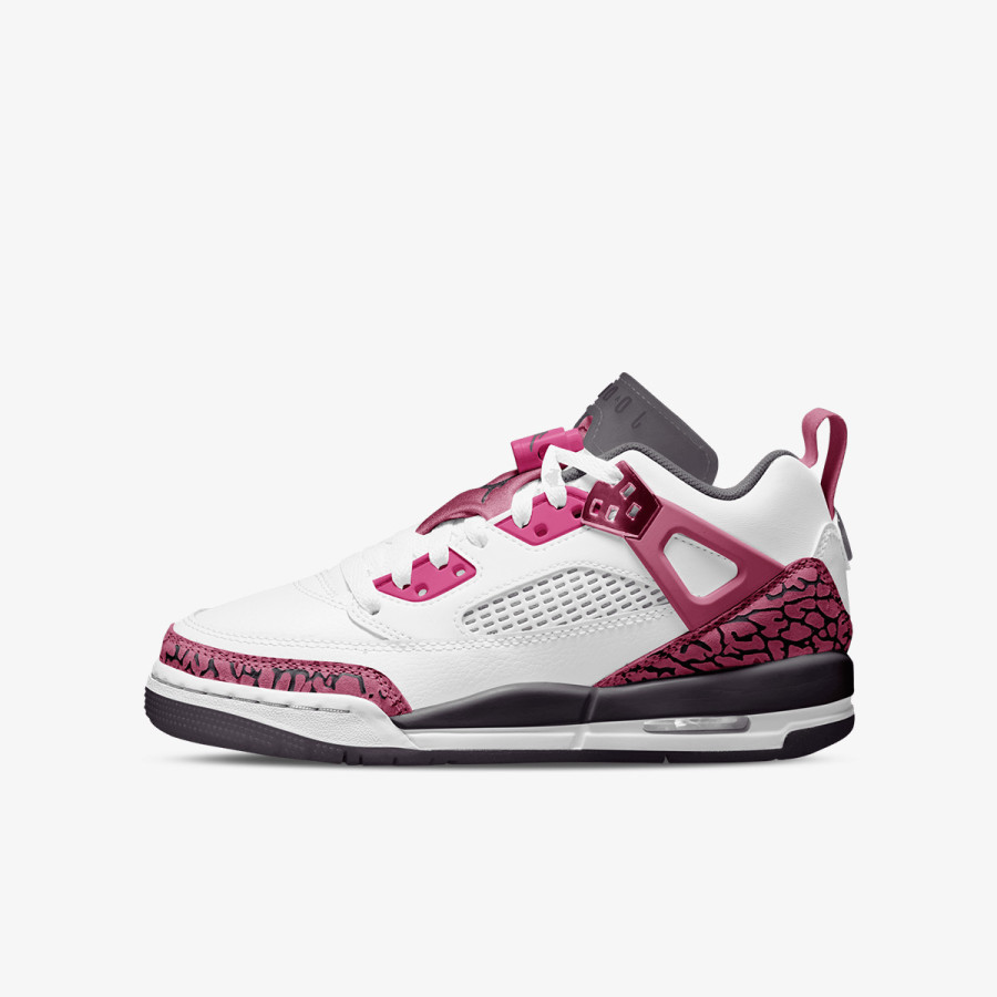JORDAN Pantofi Sport JORDAN SPIZIKE LOW (GS) 