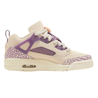 NIKE Pantofi Sport Jordan Spizike Low 