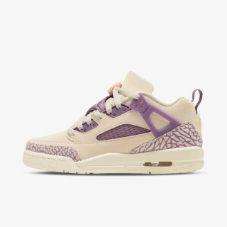 NIKE Pantofi Sport Jordan Spizike Low 