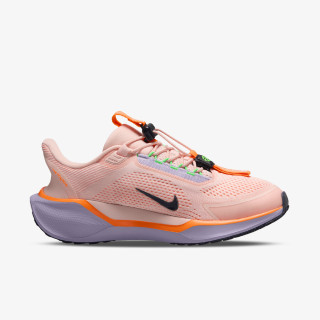 NIKE Pantofi Sport Pegasus Easyon 