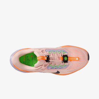 NIKE Pantofi Sport Pegasus Easyon 