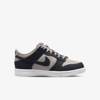 NIKE Pantofi Sport NIKE DUNK LOW HF BG 