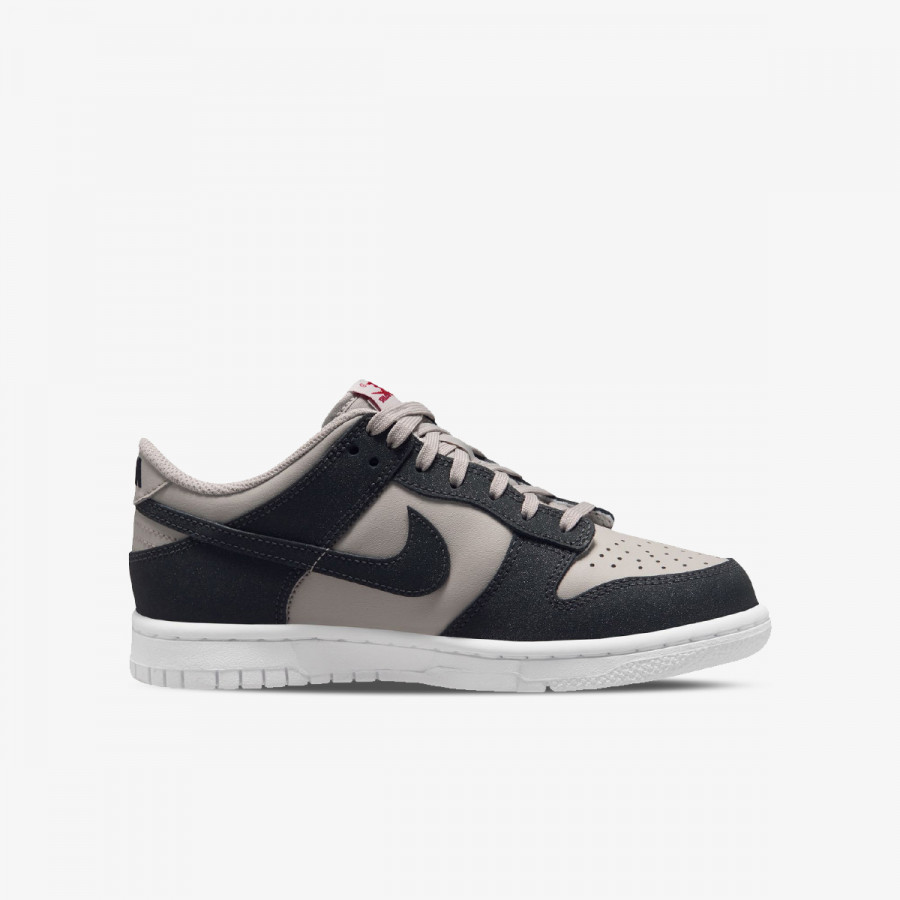 NIKE Pantofi Sport NIKE DUNK LOW HF BG 
