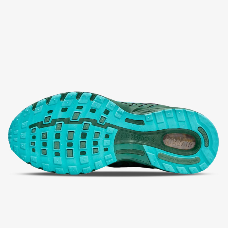 NIKE Pantofi Sport NIKE AIR PEGASUS 2005 WNTR 
