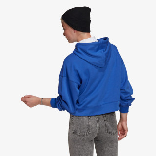 ADIDAS Hanorace adidas ADICOLOR ESSENTIALS HOODIE 