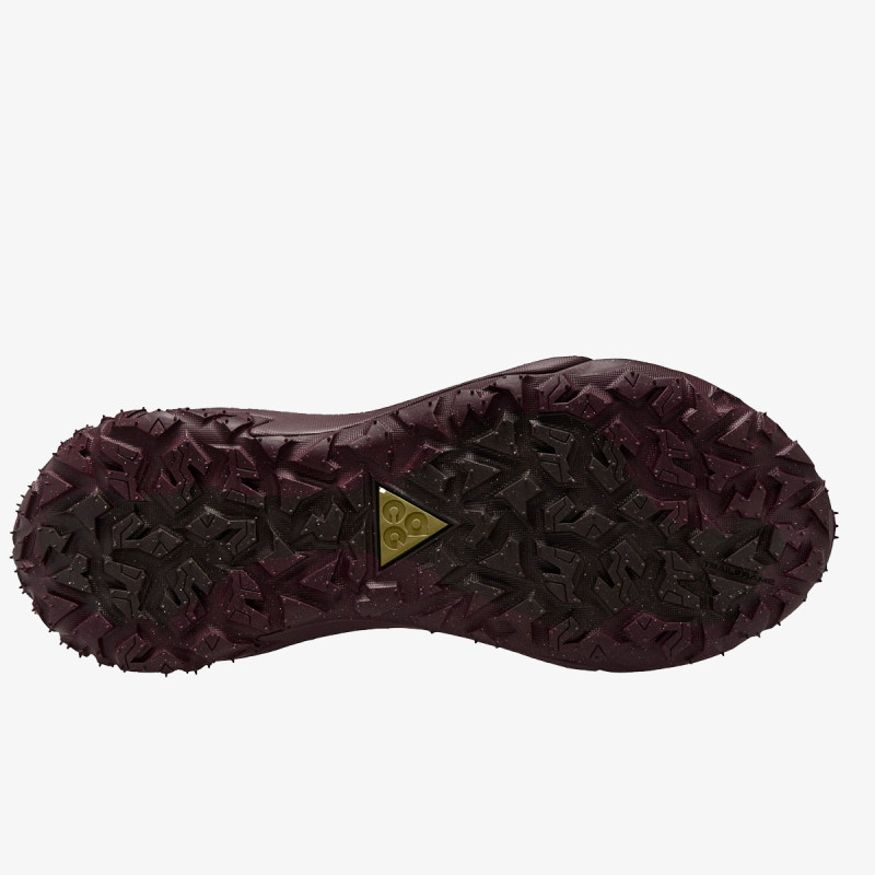 NIKE Pantofi Sport ACG Mountain Fly 2 