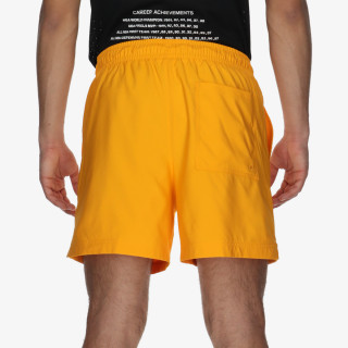 NIKE Pantaloni scurti Poolside Lbr 5 