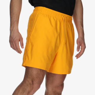 NIKE Pantaloni scurti Poolside Lbr 5 