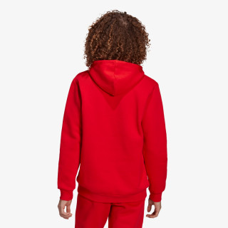 ADIDAS Hanorace ESSENTIAL HOODY 