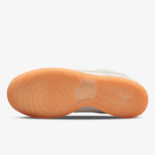 NIKE Pantofi Sport Dunk Low Pro 