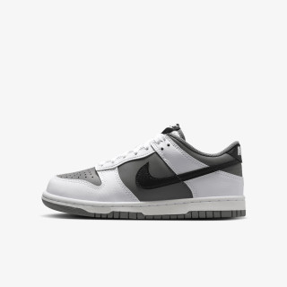 NIKE Pantofi Sport NIKE DUNK LOW GS CD 