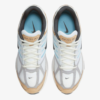 NIKE Pantofi Sport NIKE AIR PEGASUS 2005 GCEL CN 