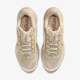 NIKE Pantofi Sport W NIKE PEGASUS PREMIUM 