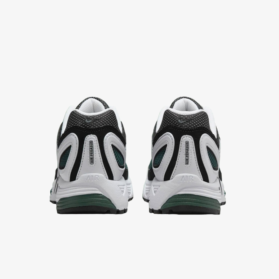 NIKE Pantofi Sport Air Pegasus 2005 