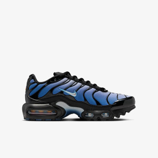 NIKE Pantofi Sport NIKE AIR MAX PLUS GS MBRS 