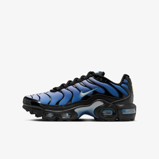 NIKE Pantofi Sport NIKE AIR MAX PLUS GS MBRS 
