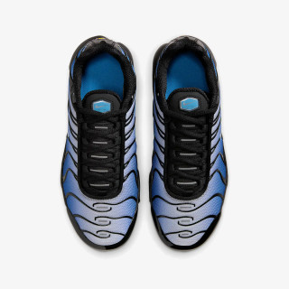 NIKE Pantofi Sport NIKE AIR MAX PLUS GS MBRS 