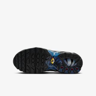 NIKE Pantofi Sport NIKE AIR MAX PLUS GS MBRS 