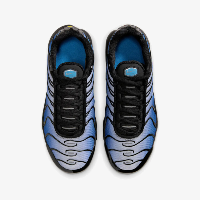 NIKE Pantofi Sport NIKE AIR MAX PLUS GS MBRS 