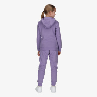 ADIDAS Treninguri ADICOLOR HOODIE SET<br /> 