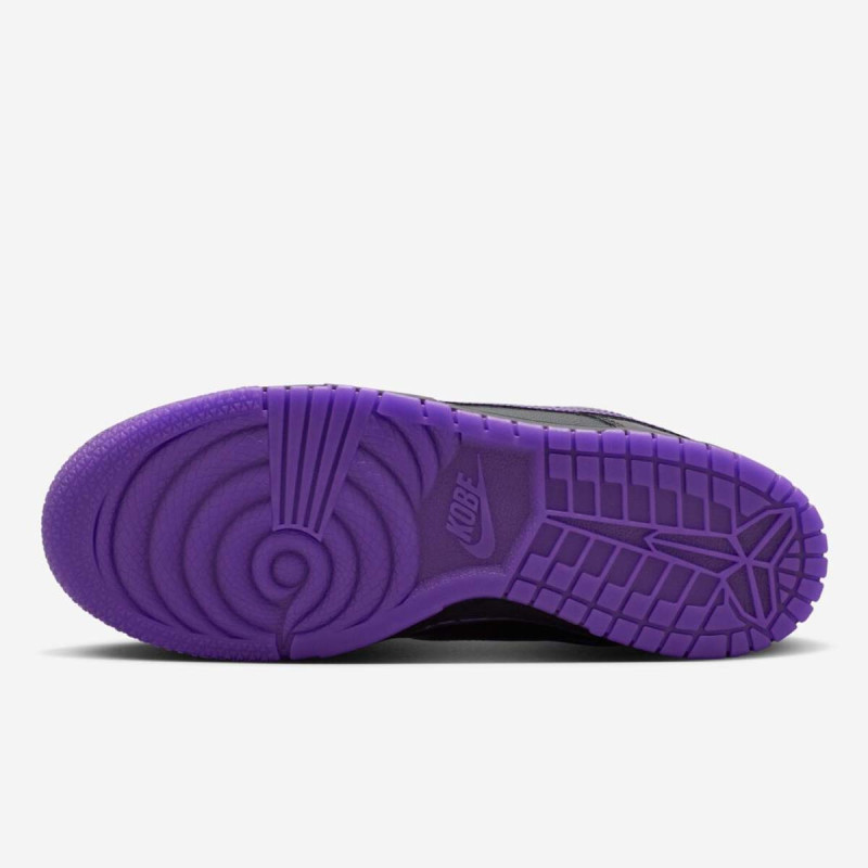 NIKE Pantofi Sport DUNK LOW PROTRO 
