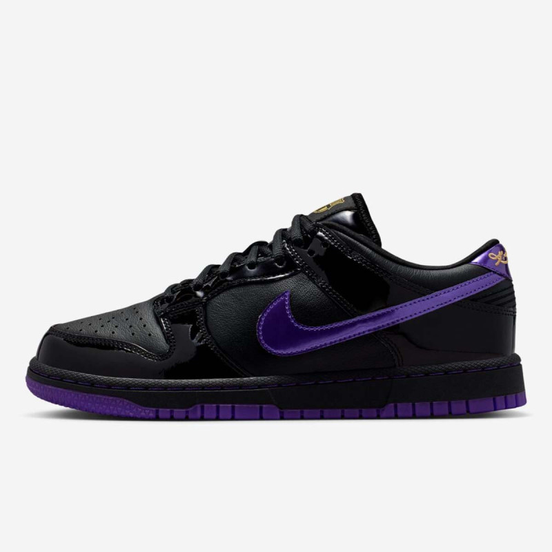 NIKE Pantofi Sport DUNK LOW PROTRO 