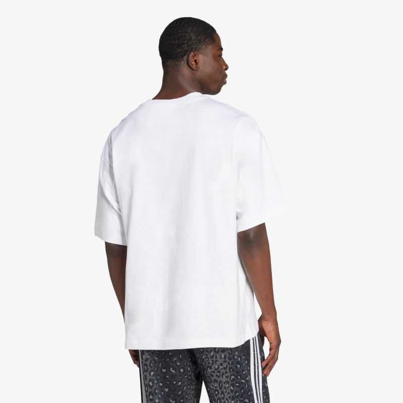 ADIDAS Tricouri GRAPHIC OS SS T 